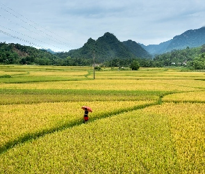 Góry, Ścieżka, Pole, Człowiek