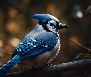 Grafika AI, Gałąź, Modrosójka błękitna, Ptak