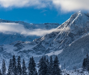 Śnieg, Skały, Zima, Alpy, Drzewa, Góry, Szwajcaria, Chmury