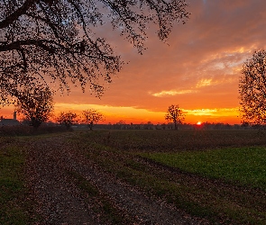 Pomarańczowe, Droga, Zachód słońca, Pole, Wieża, Niebo, Kościoła, Drzewa