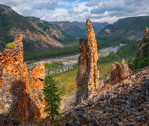 Rzeka, Drzewa, Góry, Skały, Dolina