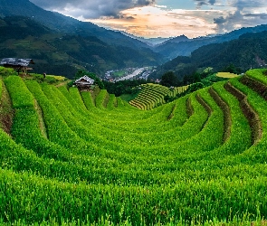 Chmury, Niebo, Tarasy ryżowe, Pola ryżowe, Pola, Góry