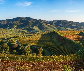 Wzgórza, Winnice, Góry, Pola, Vogtsburg Kaiserstuhl, Droga, Niemcy, Drzewa