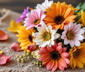 Kolorowe, Płótno, Płatki, Kwiaty, Bukiet