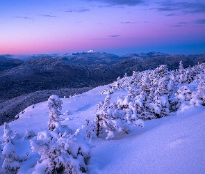 Zaspy, Drzewa, Śnieg, Zima, Góry, Ośnieżone
