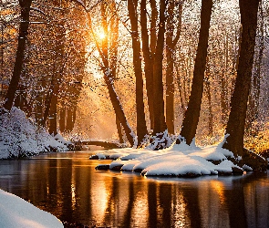 Śnieg, Słońce, Rzeka, Drzewa, Las
