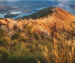 Roślinność, Mgła, Gory, Nowa Zelandia, Roys Peak, Jezioro Wanaka