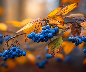 Grafika AI, Liście, Owoce, Niebieskie, Jagody, Jesienne