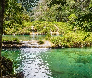 Drzewa, Roślinność, Kamienie, Rzeka, Las
