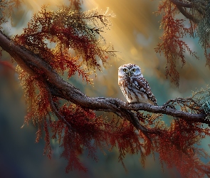 Grafika AI, Drzewo, Sowa, Gałąź