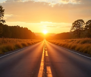 AI, Drzewa, Droga, Zachód słońca