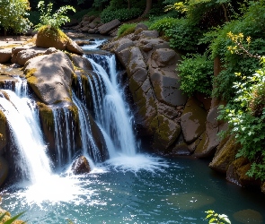 Uskok, Rośliny, Zielone, Rzeka, Skały