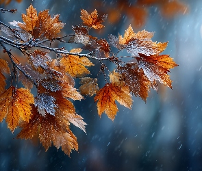 Liście, AI, Grafika, Jesienne, Oszronione
