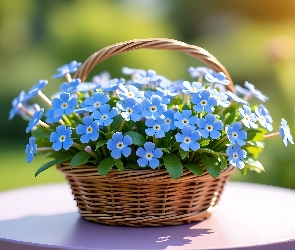 Kwiaty, Grafika, Koszyk, Wiklinowy, Niebieskie