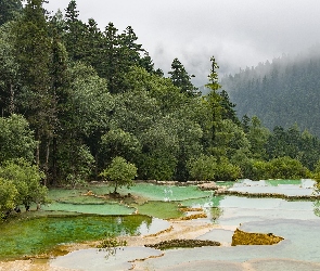 Kaskada, Chiny, Dolina Huanglong, Drzewa, Sadzawki tarasowe