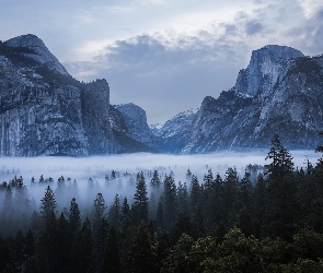 Mgła, Lasy, Chmury, Drzewa, Park Narodowy Yosemite, Stan Kalifornia, Góry, Sierra Nevada, Stany Zjednoczone, Skały