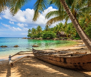 Morze, Palmy, Łódka, Plaża