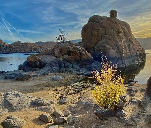 Prescott, Krzewy, Watson Lake, Arizona, Żółte, Jezioro, Skały
