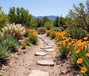 Krzewy, Agawa, Ścieżka, Rośliny, Kwiaty, Ogród, Drzewa