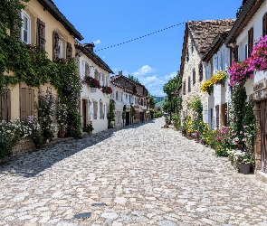 Kwiaty, Domy, Kamienna, Ulica