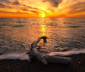 Zachód słońca, Fale, Konar, Uschnięty, Plaża, Morze