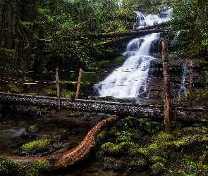 Mostek, Wodospad, Las, Skały