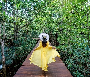 Kapelusz, Kładka, Kobieta, Sukienka, Las, Żółta, Roślinność, Drzewa