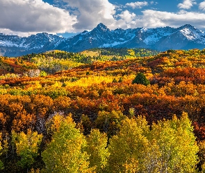 San Juan Mountains, Drzewa, Góry, Las, Kolorado, Jesień, Stany Zjednoczone, Chmury
