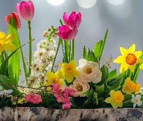 Żonkile, Tulipany, Kolorowe, Kwiaty