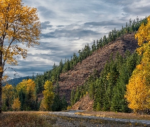 Skarpa, Jesień, Drzewa, Wzgórze, Droga