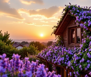 Kwiaty, Zachód słońca, Niebo, Drzewa, Domy