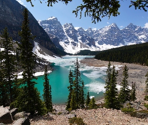 Dolina, Dziesięciu Szczytów, Las, Kanadyjskie Góry Skaliste, Park Narodowy Banff, Kanada, Drzewa, Alberta, Śnieg, Świerki, Jezioro Moraine