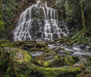 Australia, Drzewa, Rzeka, Tasmania, Skała, Las, Kamienie, Wodospad, Park Narodowy Franklin-Gordon Wild Rivers, Nelson Falls