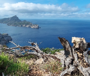 Hiszpania, Majorka, Skały, Morze, Konary, Wyspa Sa Dragonera