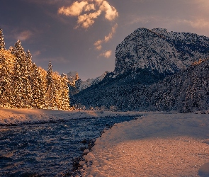 Drzewa, Ośnieżone, Góry, Zima, Rzeka, Las
