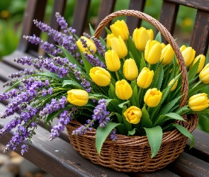 Lawenda, Tulipany, Koszyk, Ławka, Żółte, Wiklinowy, Kwiaty