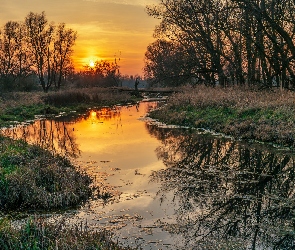 Las, Zachód słońca, Trawa, Drzewa, Rzeka