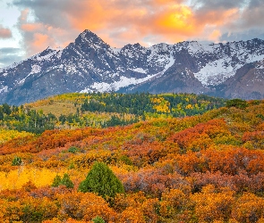 San Juan Mountains, Chmury, Góry, Drzewa, Kolorado, Las, Stany Zjednoczone, Jesień