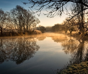 Odbicie, Mgła, Jesień, Bezlistne, Trawa, Anglia, Poranek, Hrabstwo Worcestershire, Drzewa, Rzeka, Avon River