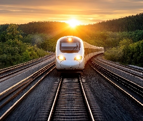 Drzewa, Zachód słońca, Pociąg, Tory