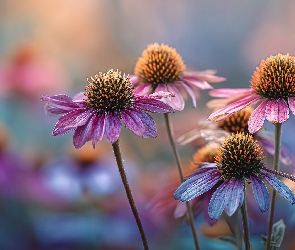 Jesienne, Grafika AI, Jeżówki, Kwiaty, Kolorowe