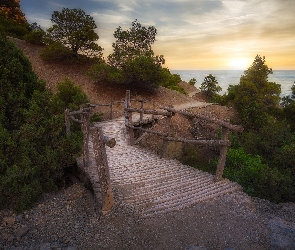 Most, Zachód słońca, Morze, Drzewa, Drewniany