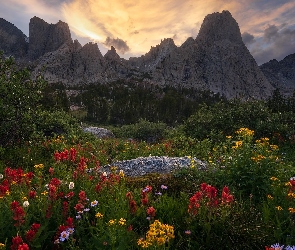 Łąka, Chmury, Drzewa, Kwiaty, Góry