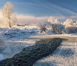 Oszronione, Drzewa, Zima, Rzeka