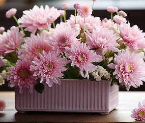 Chryzantemy, Donica, Skrzynka, Różowe, Kwiaty