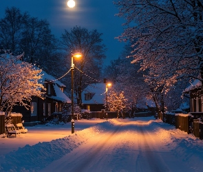 Domy, Droga, Ośnieżone, Księżyc, Latarnie, Zima, Drzewa