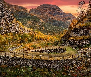 Norwegia, Vindhellavegen, Kręta, Drzewa, Droga, Skały, Region Sogn og Fjordane, Laerdal, Góry