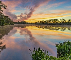 Niemcy, Dolina Wittlicha, Chmury, Wschód słońca, Drzewa, Jezioro Sterenbachsee