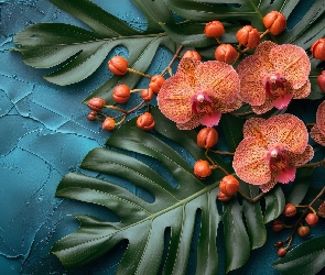 Orchidee, Monstera, Liście, Kwiaty, Storczyki