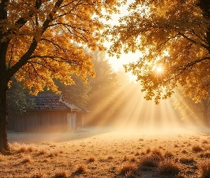 Grafika AI, Przebijające światło, Jesień, Drzewa